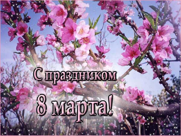 С праздником 8 марта!!!!!!!!