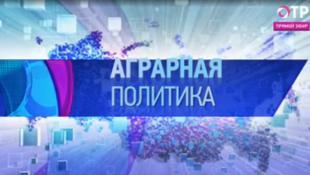 За последние двадцать лет 34 тысячи российских деревень исчезли с лица земли