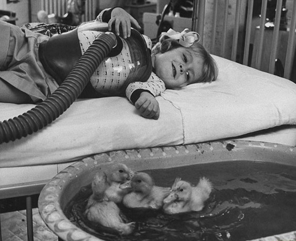 Животные использовались в качестве части терапии в 1956 году. вещи., время, история, люди, фото