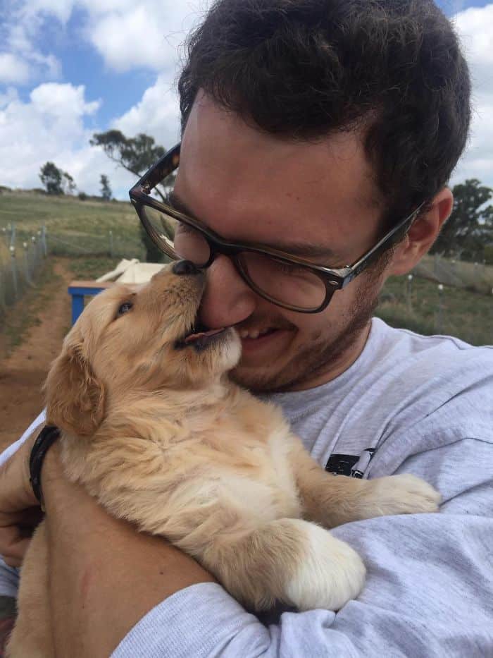 When I Met My Goldendoodle Pup, Boo