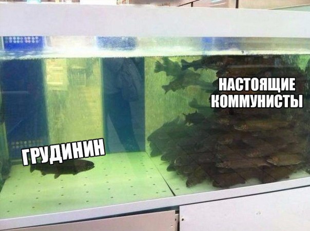 «Ленин в шоке»: Павел Грудинин «удивил» потенциалом