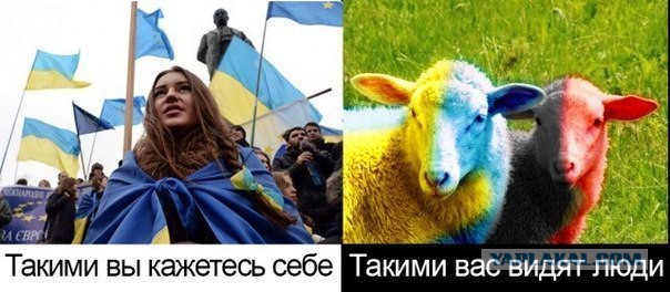 Донецк – разница между реальным и желто-голубым миром
