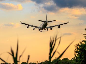 Минтранс собирается выделить 300 миллионов субсидий «Аэрофлоту» на рейсы на ДФО